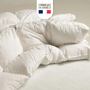 Couette Plume